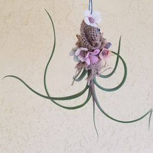 Living Art Live Airplant By Artist CR